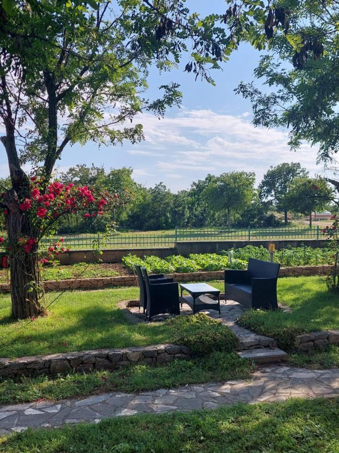 Hotel Agrotourism Galic Krka Drinovci Esterno foto