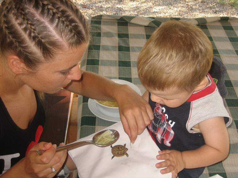 Hotel Agrotourism Galic Krka Drinovci Esterno foto