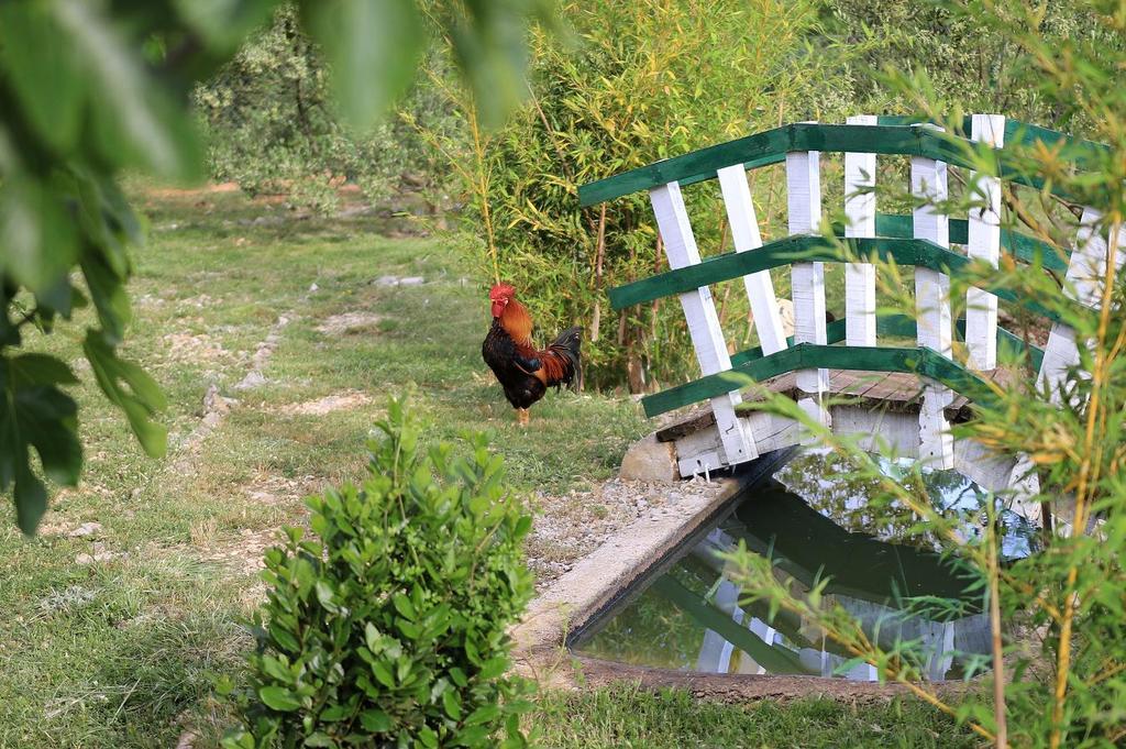 Hotel Agrotourism Galic Krka Drinovci Esterno foto