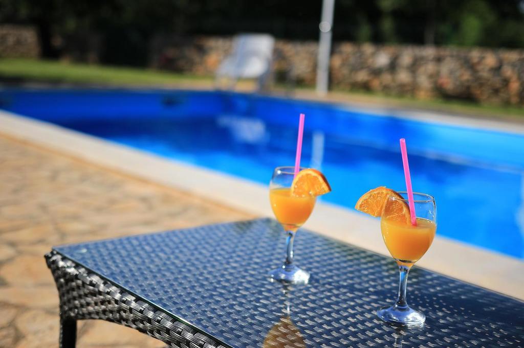 Hotel Agrotourism Galic Krka Drinovci Esterno foto